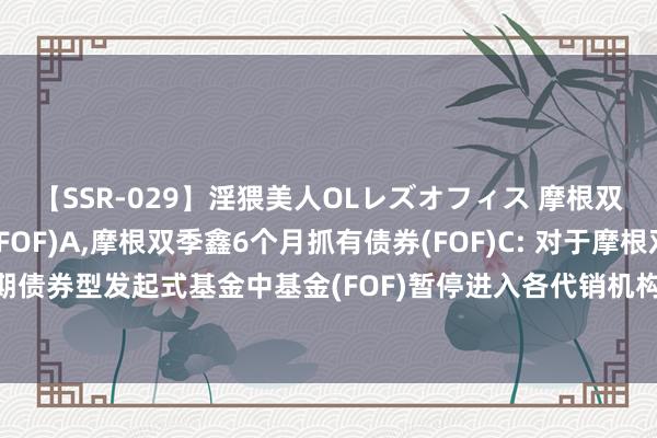 【SSR-029】淫猥美人OLレズオフィス 摩根双季鑫6个月抓有债券(FOF)A,摩根双季鑫6个月抓有债券(FOF)C: 对于摩根双季鑫6个月抓有期债券型发起式基金中基金(FOF)暂停进入各代销机构申购(含依期定额申购)费率优惠举止的公告