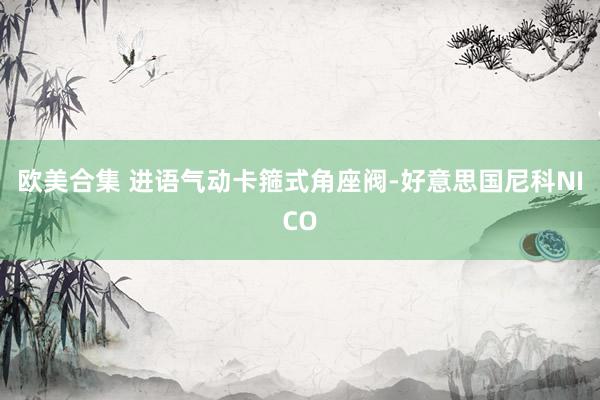 欧美合集 进语气动卡箍式角座阀-好意思国尼科NICO