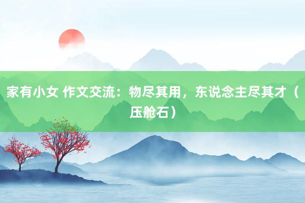 家有小女 作文交流：物尽其用，东说念主尽其才（压舱石）