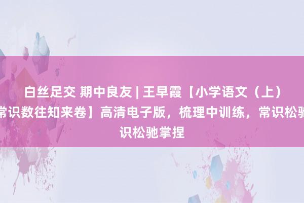 白丝足交 期中良友 | 王早霞【小学语文（上）基础常识数往知来卷】高清电子版，梳理中训练，常识松驰掌捏