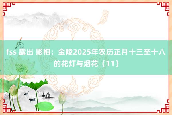 fss 露出 影相：金陵2025年农历正月十三至十八的花灯与烟花（11）