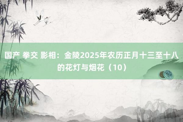国产 拳交 影相：金陵2025年农历正月十三至十八的花灯与烟花（10）