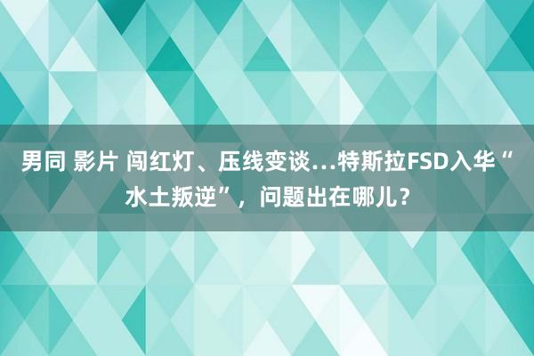 男同 影片 闯红灯、压线变谈…特斯拉FSD入华“水土叛逆”，问题出在哪儿？
